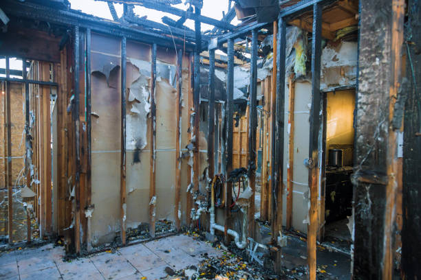 Professional Fire Damage Removal technician working in Selden, NY